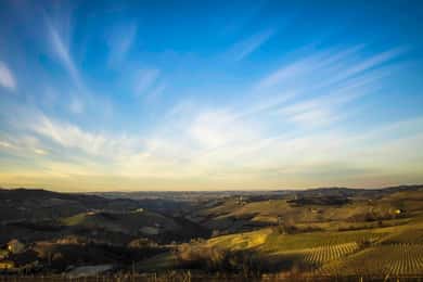 Monforte d'Alba: Jacuzzi-ritual med vinsmagning