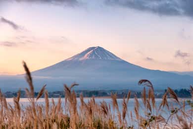 From Tokyo: Mt.Fuji & Gotemba Private Customizable Day Trip.