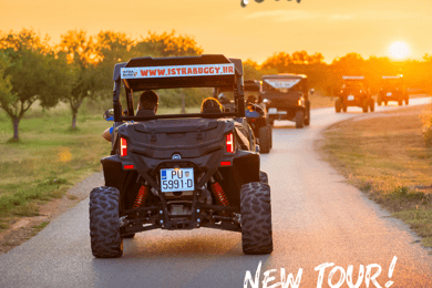Fažana/Pula: Buggy Sunset & Olive Oil Tasting Tour