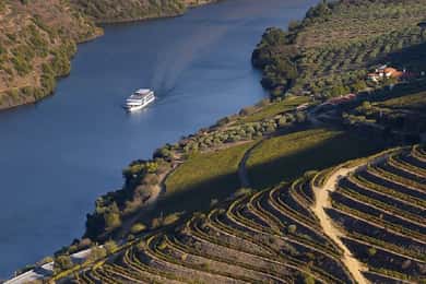 Desde Oporto: recorrido panorámico en barco por Pinhão y el valle del Duero