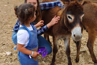 Agüimes : Sé agricultor por un día en La Jaira de Ana