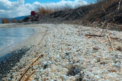 Shell beach Turtle head and Kok-Moinok canyons