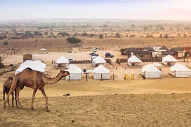 Jaisalmer: 2 Days Adventure in the Thar Desert
