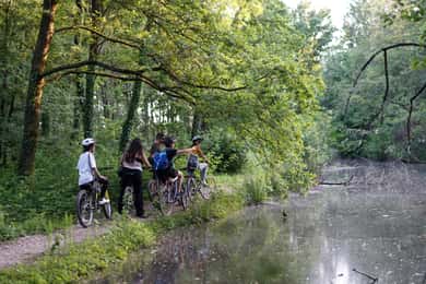 Milano: Cykeltur med picknick Cykeltur med picknick vid sköldpaddssjön