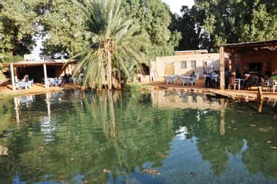 Djerba: odwiedź oazę i źródło gorącej wody na pustyni