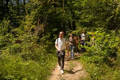 BEER WAY Kamnik: Tour delle Alpi e degustazione della birra