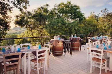 Marche Wines: Explore the Richness of Local Flavors