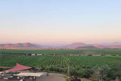 Tour durch das Valle de Guadalupe: Weinverkostungen inklusive