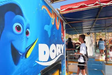 Ein Abenteuer in der Ägäis auf dem Glasboden-Schnellboot Dory!