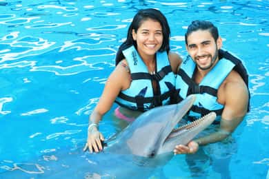 Puerto Vallarta: Dolphin Swimming and Aquaventuras Park