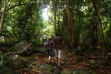 Con Dao: Reise gjennom So Ray – et naturlig underverk
