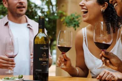 Combo: Hunter Valley Tour + Sydney Hop-on-Hop-off Bus Ticket