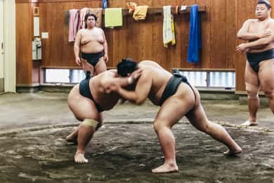 Tokyo: Vizită de antrenament de dimineață la Sumo