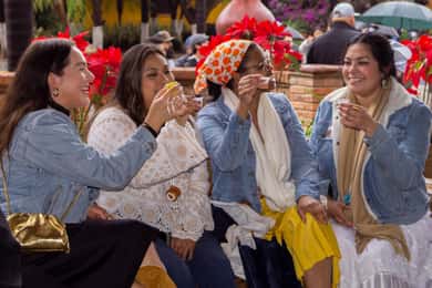 Tour Tequila Loreta Travel&Tour