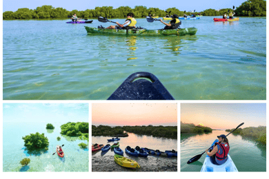 Qatar: Al Thakira Mangrove Forest Kayaking Tour