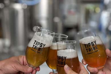 Brussels: micro brewery & distillery tour + beer tasting