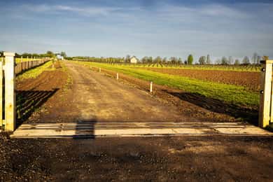 Yorkshire: Weinverkostung und Führung im Loversall Vineyard