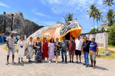 From Colombo/Negombo: Madu River Safari and Turtle Hatchery