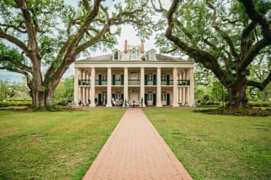 New Orleans: Escursione di un giorno alla piantagione di Oak Alley e alla crociera nella palude