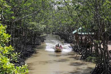 Ho Chi Minh City: Can Gio Monkey Island Day Trip with Lunch