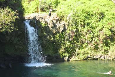 Maui: Private Road to Hana Rainforest and Waterfall Tour