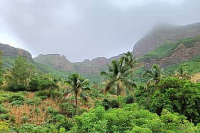 Visita à ilha especialmente concebida para os hóspedes de cruzeiros