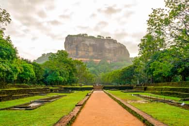 Sigiriya Leeuwenrots & Minneriya National Park Olifantensafari