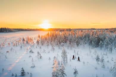 Kemi-Tornio: Natur Tour mit Schneeschuhen