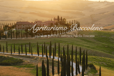 Florens: Dagstur till Siena&Baccoleno&Chapel med privatchaufför