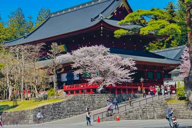 Hakone: Full day private tour with English speaking Guide