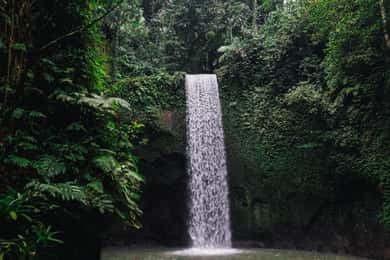 Joyas ocultas de Ubud: Excursión a la Cascada
