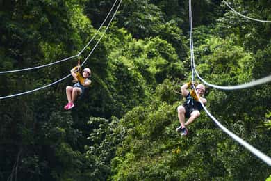 Punta Cana: Aventuras nas tirolesas e entrada na Monkeyland