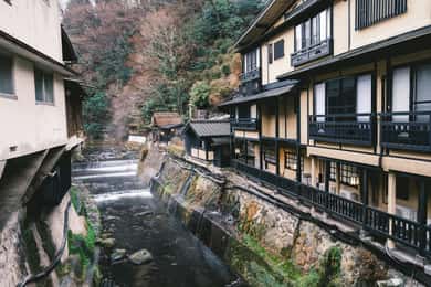 Tokyo: Nagano, Snow Monkeys and Zenko-ji Temple Private Tour