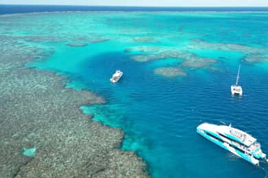 Townsville : Excursion d'une journée à la Grande Barrière de Corail et à MOUA Snorkeling
