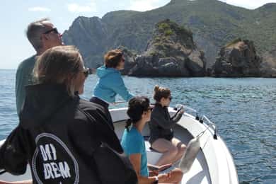 Sesimbra: Arrábida-stranden og grotter - omvisning med båt og snorkling