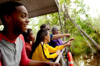 New Orleans: Tour in barca della Palude e del Bayou con trasporto