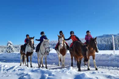 Tagestour zu Pferd im Rila-Gebirge