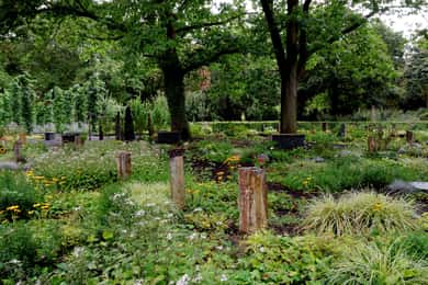Colonia: Cementerio de Melaten con Visita Privada del Casco Antiguo