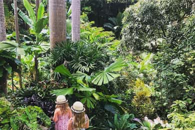 Barbados: Hunte's Garden, håndværksstudier og strandtur