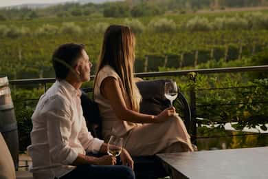 Mendoza: Visita a adegas e destilarias com almoço