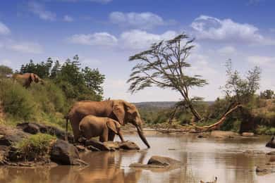 From Nairobi: 3-Day Samburu National Reserve