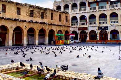 Doha : City Tour To All Main Attractions Including Transfers