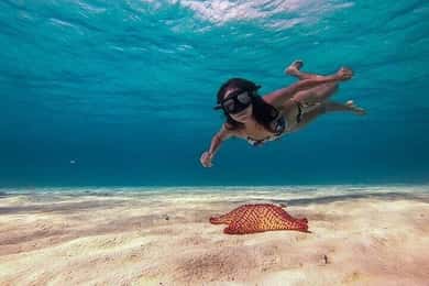 Cozumel: Glass-bottom Boat Snorkeling Adventure
