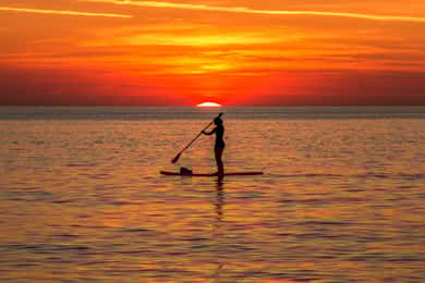 Paddle Board Rental: Glide on the Water with Ease