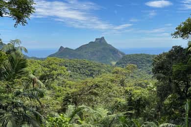 Rio de Janeiro: Tijuca National Park Tour