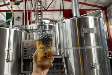 Guadalajara Arquitecture and Brewery Tour