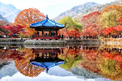 Seul: Folhagem de outono - Monte Naejang + Aldeia Hanok de Jeonju