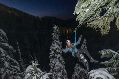 Whistler: 2-Hour Evening Zip Line Adventure