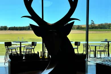 Melbourne: Private Wine tasting Yarra Valley Tours