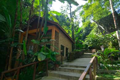 From Kuala Lumpur: Taman Negara Private Tour